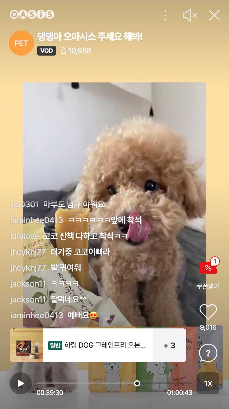 댕댕아 오아시스 주세요 해봐!